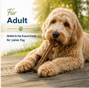Adult