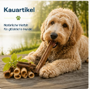 Kauartikel