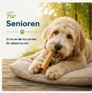 Senior
