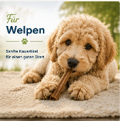 Welpen