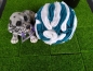 Preview: Blue´s Schnüffelball( aus Fleece)